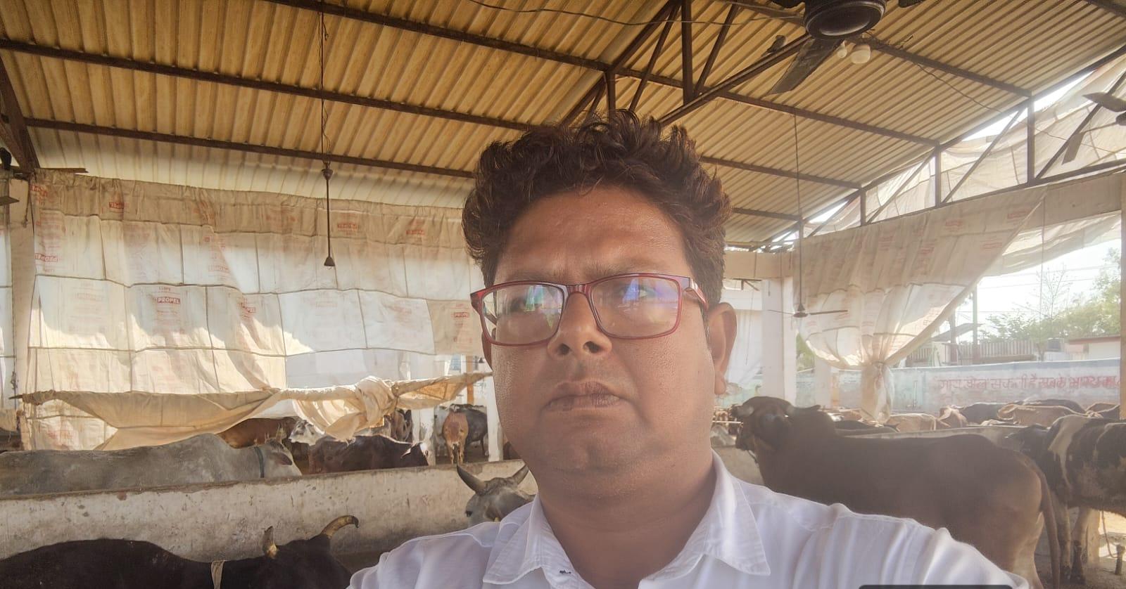 गौशाला में व्यवस्थाएं दुरुस्त, सभी गोवंश स्वस्थ मिले—पशु चिकित्सा अधिकारी ने किया निरीक्षण